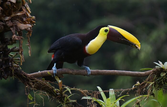 Central America Tours