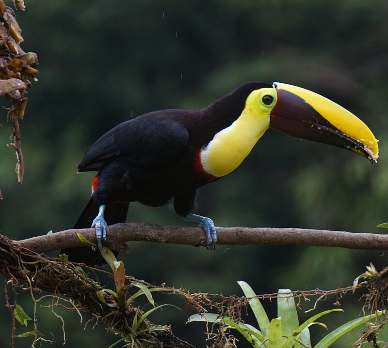 Central America Tours