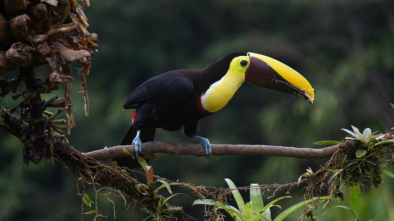 Central America Tours